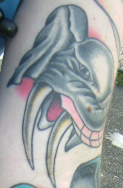 Grey Ink Sean Elephant Tattoo