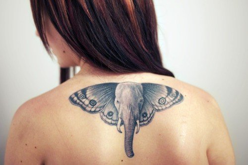 Moth Wings Ear Elephant Head Tattoo On Back