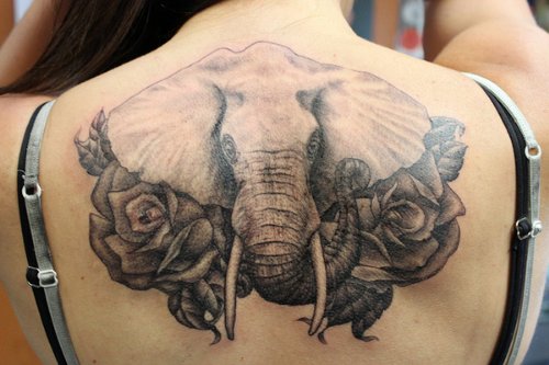 Roses With Elephant Tattoo On Upper Back For Women