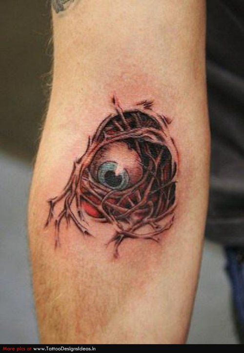 Eye Ball In Nest Tattoo On Sleeve