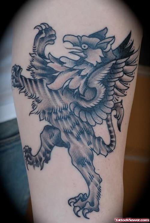 Grey Ink Griffin Fantasy Tattoo