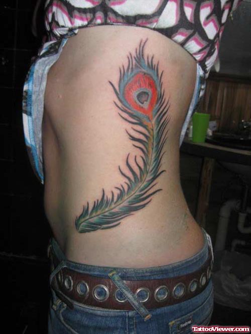 Rib Side Peacock Feather Tattoo