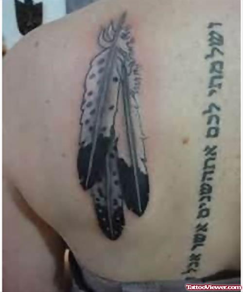 Eagle Feathers Tattoos On Back Shoulder