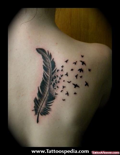 Feather and Flying Birds Tattoo On Right Back Shoulder