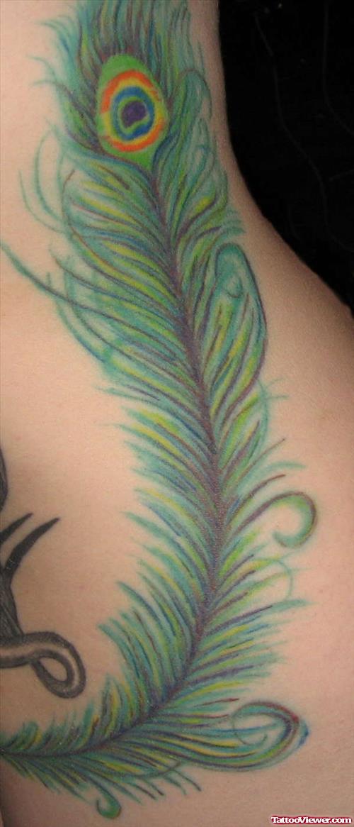 Green Ink Peacock Feather Rib Side Tattoo