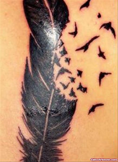 Black Feather And Flying Birds Tattoo