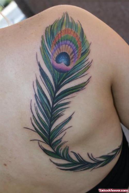 Beautiful Peacock Feather Tattoo