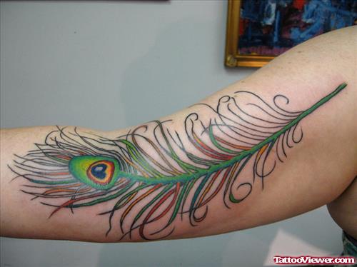 Colorful Peacock Feather Tattoo On Half Sleeve