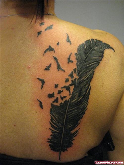 Beautiful Flying Birds And Feather Tattoo On Right Back Shoulder