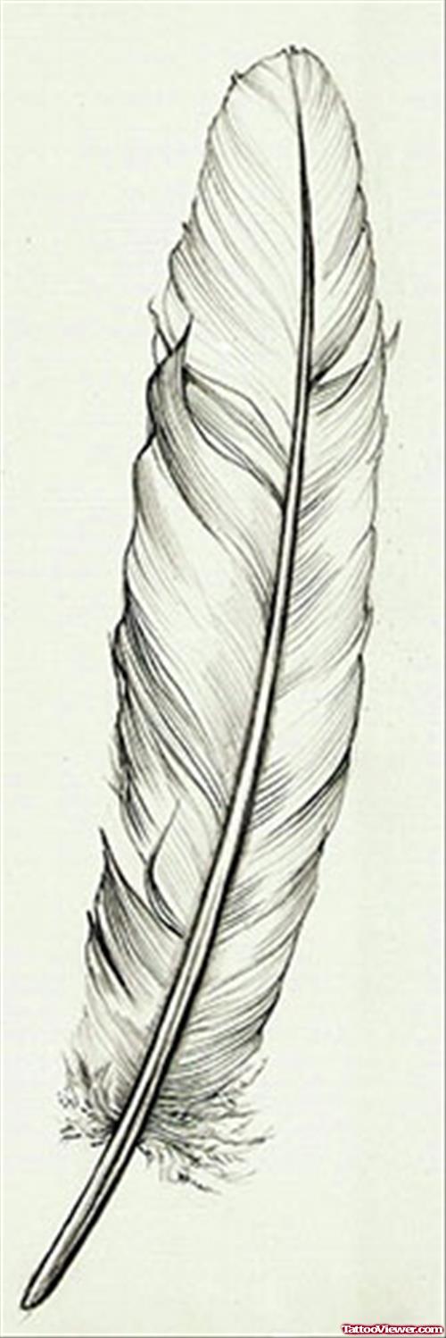 Attractive Feather Tattoo Design