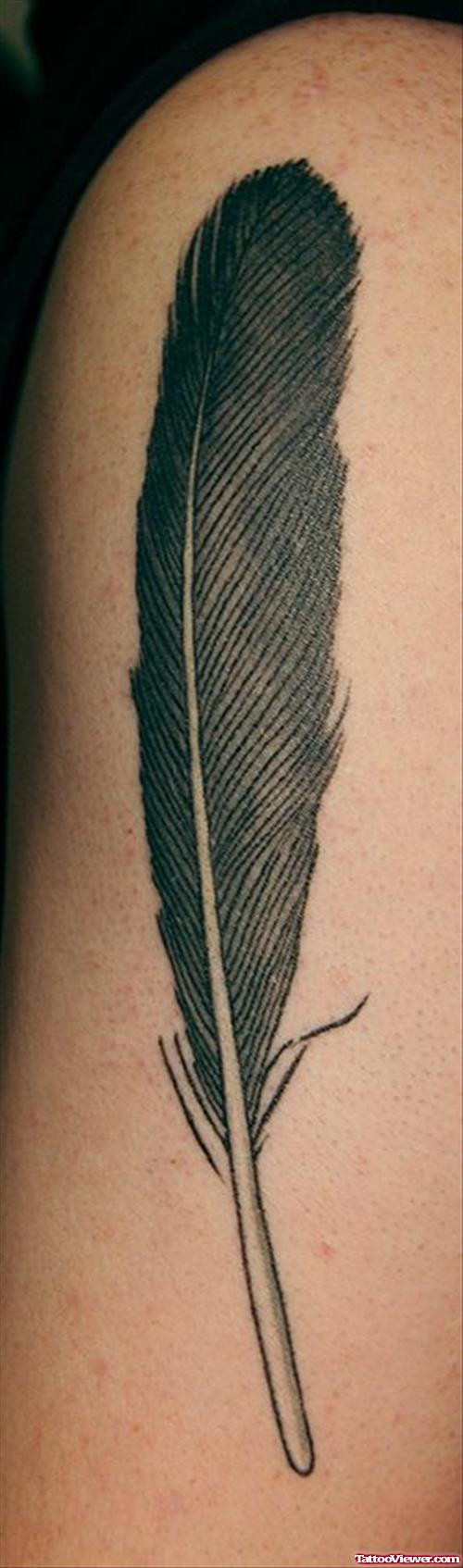 Black Feather Tattoo On Half Sleeve