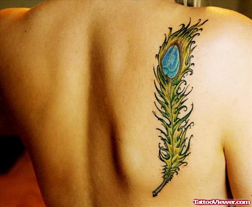 Amazing Feather Tattoo On Back