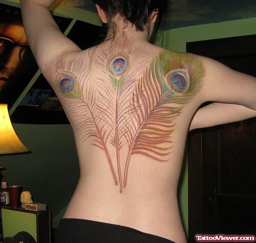 Peacock Feathers Tattoo On Back