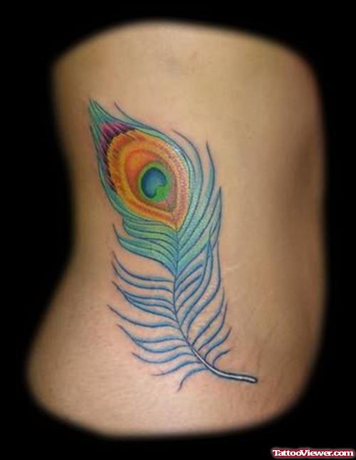 Peacock Feather Tattoo On Rib Side