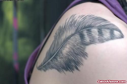 Smooth Feather Tattoo On Shoulder