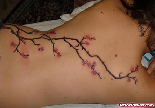 Feminie Cherry Blossom Flowers Tattoo On Back