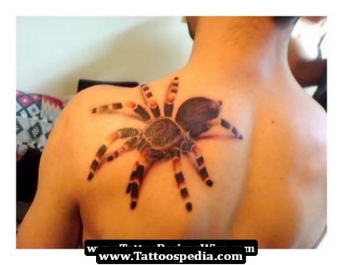 Awesome 3d Spider Feminine Tattoo On Back Shoulder