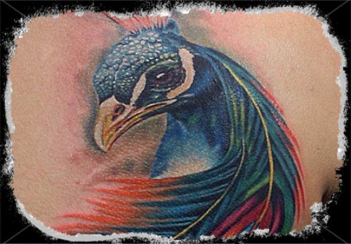 Color Ink Peacock Head Filipino Tattoo