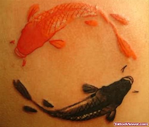 Looking For Fish Tattoos