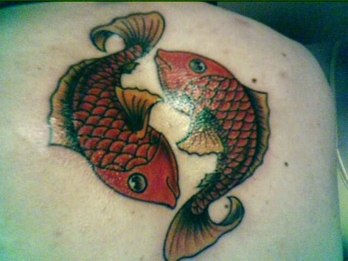 Pair Koi Fish Tattoos