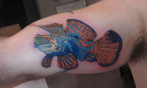 Color Ink Fish Tattoo On Bicep