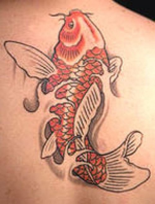 Red Ink Koi Fish Tattoo On Back