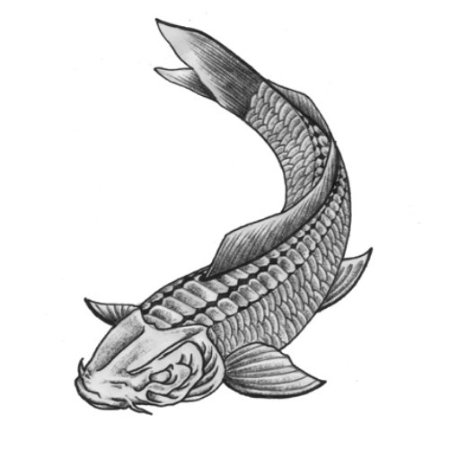 Fine Grey Ink Fish Tattoo Design