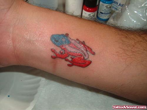 Flag Colour In Frog Tattoo