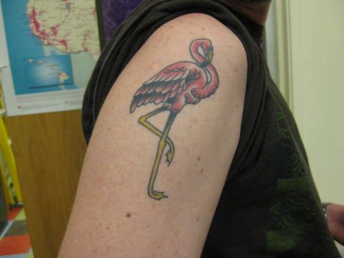 Right Shoulder Flamingo Tattoo