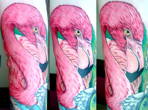 Flamingo Head Tattoo