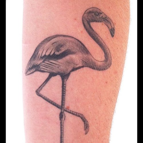 Grey Ink Flamingo Tattoo On Arm