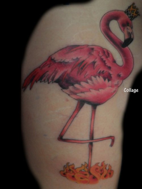 Awful Flamingo Tattoo On Right Sleeve