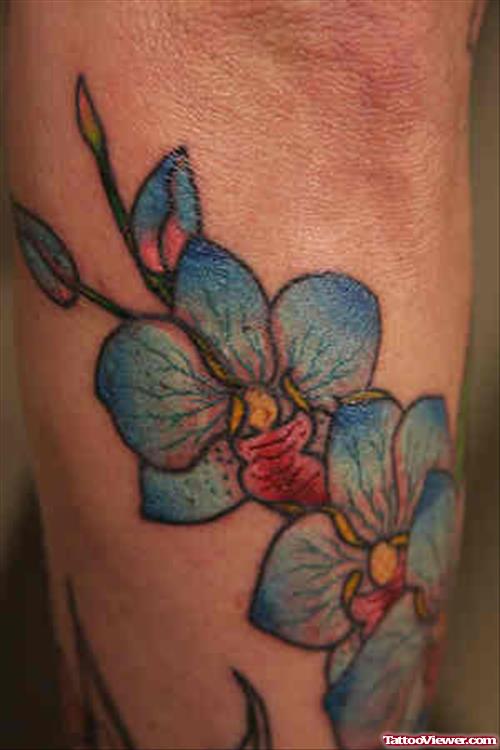 Hibiscus Flower Tattoo On Left Arm