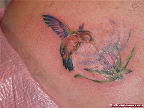 Color Hummingbird & Flower Tattoo