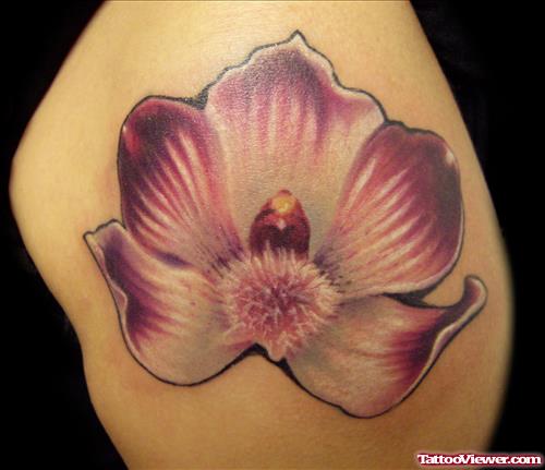 Orchid Flower Tattoo On Shoulder