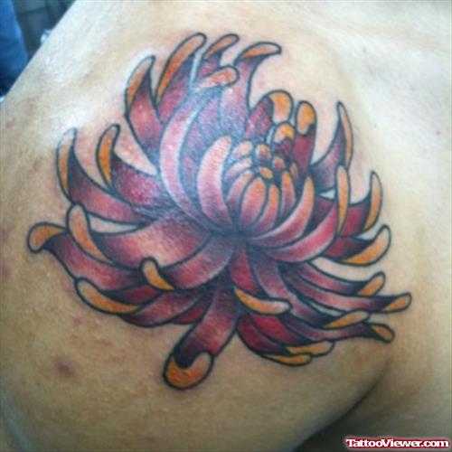 Daisy Flower Tattoo On Shoulder