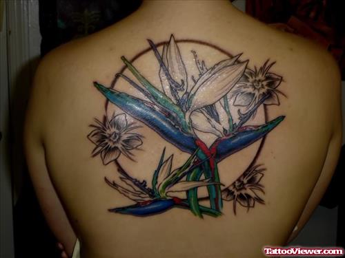 Flowers Tattoos On Back