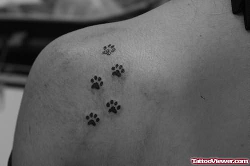 Paw Foot Print Tattoo On Back