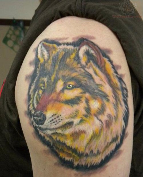 Fox Tattoos On Shoulder