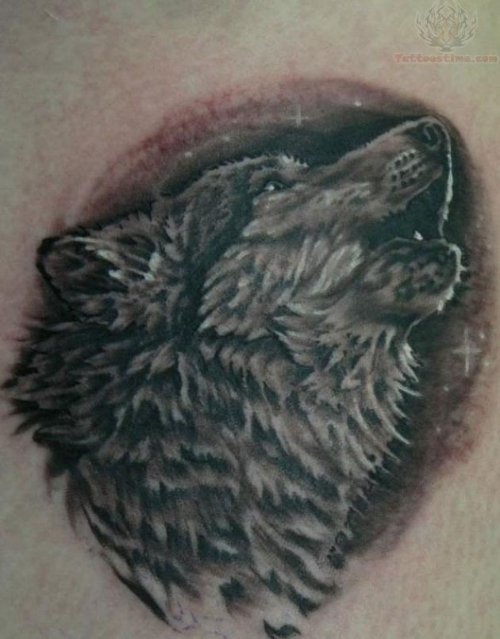 Fox Howling Tattoo