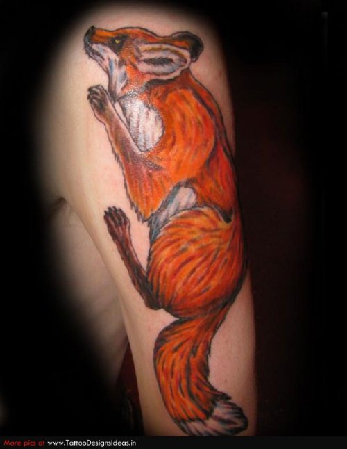 Half Sleeve Colored Fox Tattoo Design