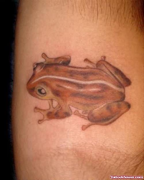 Best Colour Frog Tattoo
