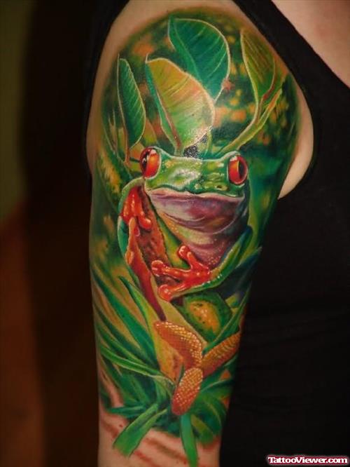 Red-Eyed Tree Frogs On Shoulder