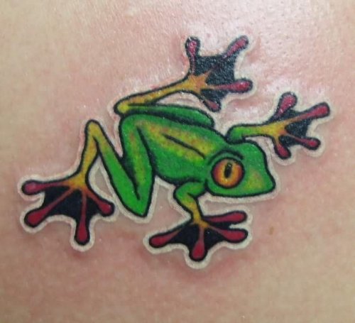 Red Eyed Tree Frog Tattoo