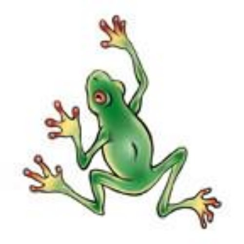 Frog Climbing Tattoo Sample