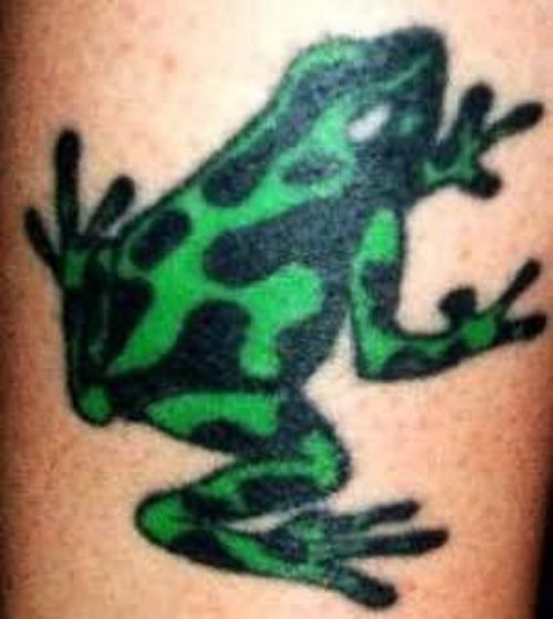 Awesome Green And Black Frog Tattoo
