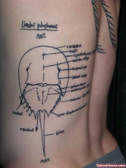 Geek Tattoo On Back Body