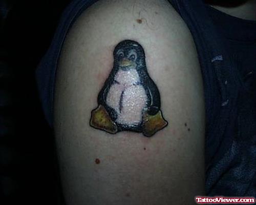 Color Ink Penguine Geek Tattoo On Right Shoulder