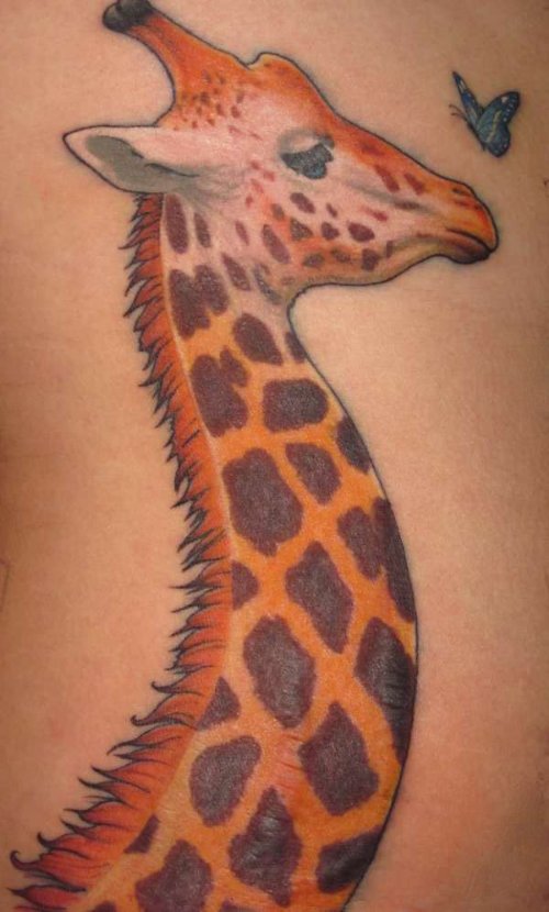 Giraffe With Butterfly Tattoo