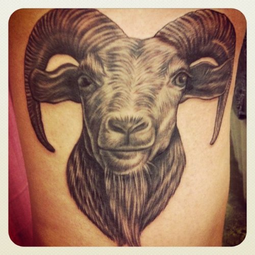 Grey Ink Goat Tattoo On Bicep